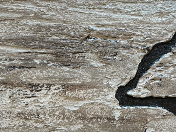 WhatsApp Image 2025-04-10 at 11.02.06 (1)