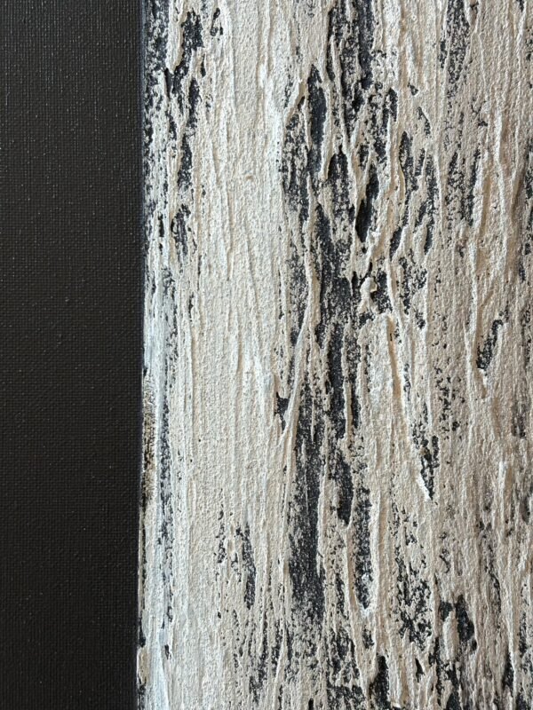 WhatsApp Image 2025-04-10 at 11.02.13