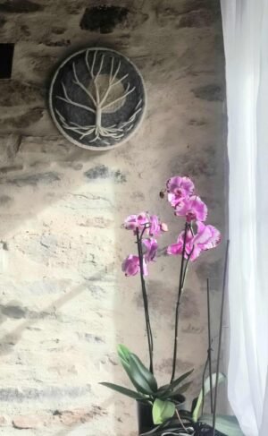 87fb1946-fc23-465f-b982-dfcd31cfec55