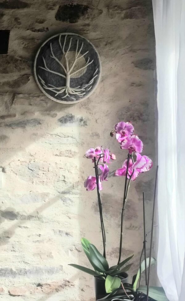 87fb1946-fc23-465f-b982-dfcd31cfec55